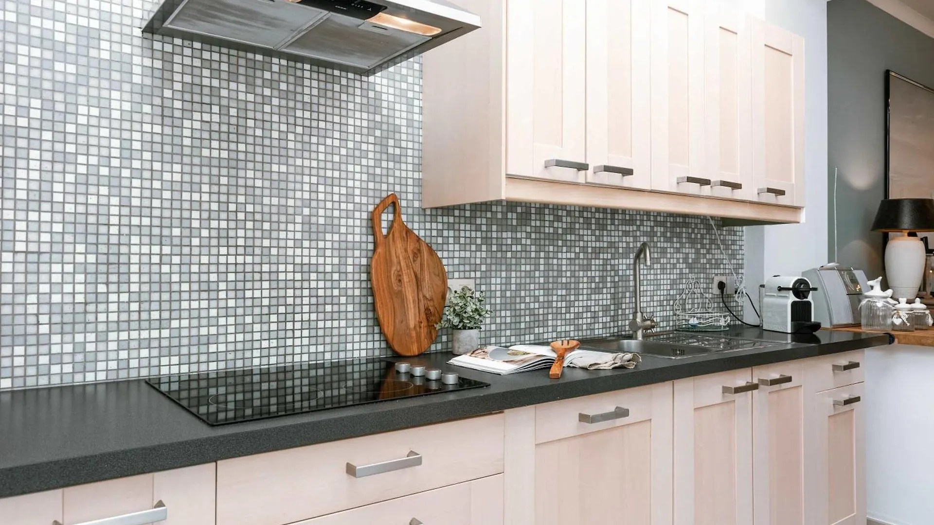 Huswell - Spacious Apartment With Terrace, Pets Are Welcome Ostend